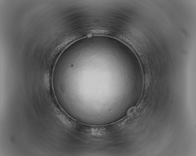 X0000113930345200909251224