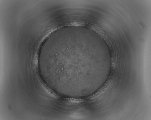 X0000113930347200909251224