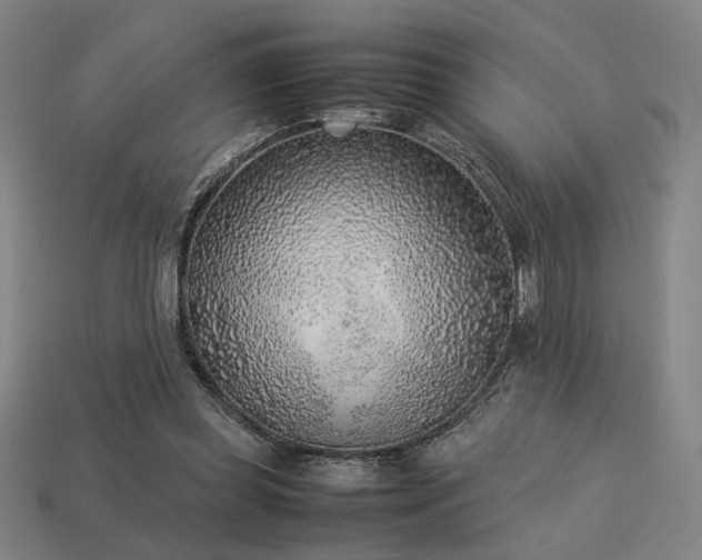 X0000113930349200909251224