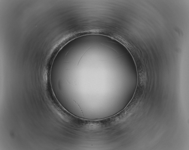 X0000113930350200909251224