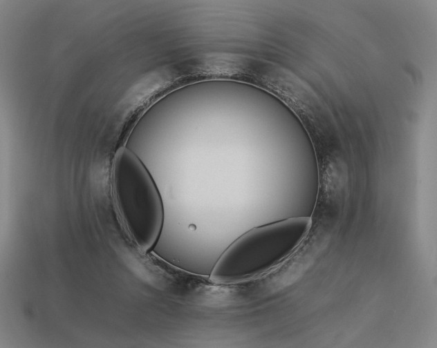 X0000113930352200909251224