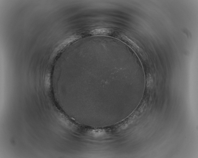 X0000113930353200909251224