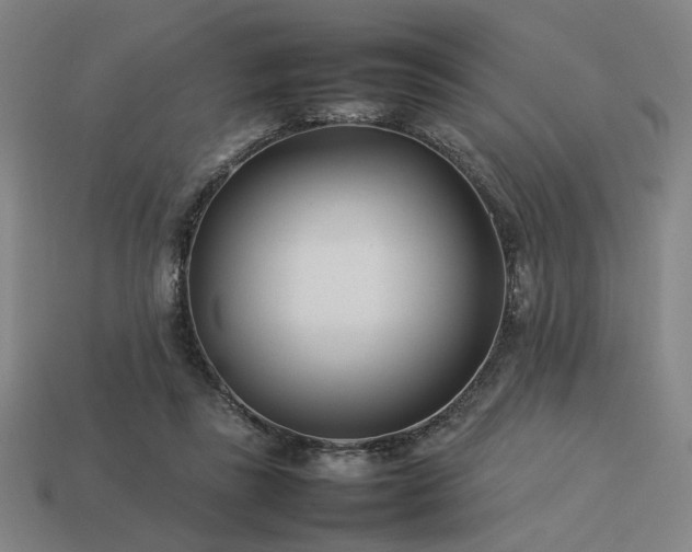 X0000113930355200909251224