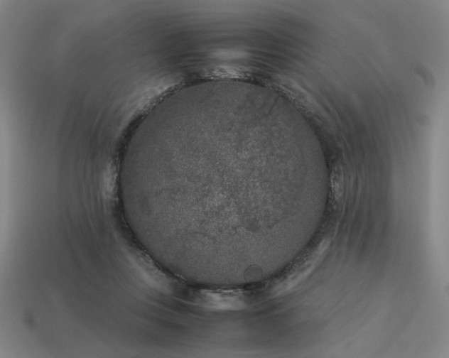 X0000113930359200909251224