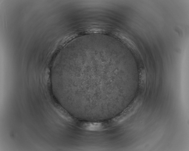 X0000113930361200909251224