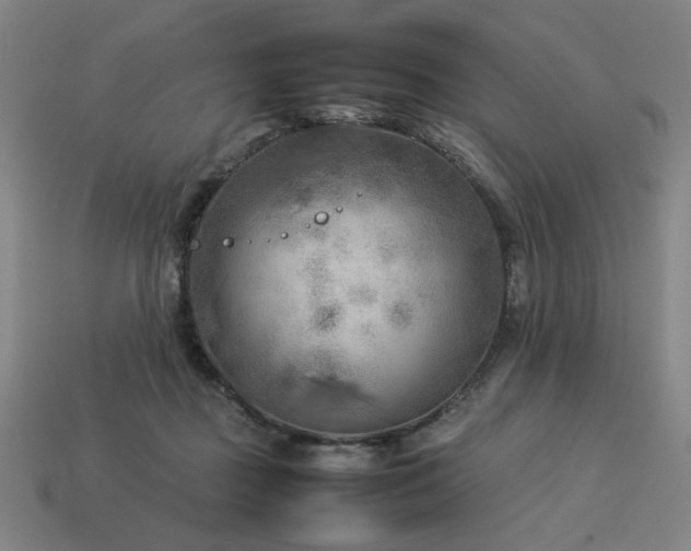 X0000113930363200909251224
