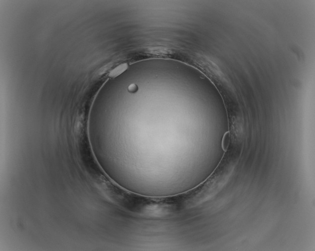X0000113930364200909251224