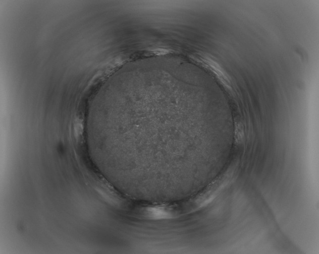 X0000113930365200909251224