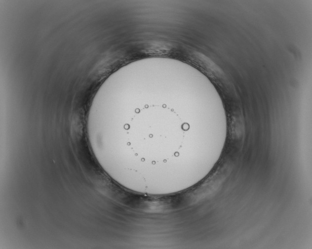 X0000113930370200909251224
