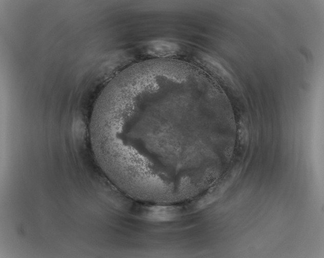 X0000113930371200909251224