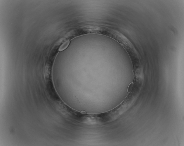 X0000113930372200909251224
