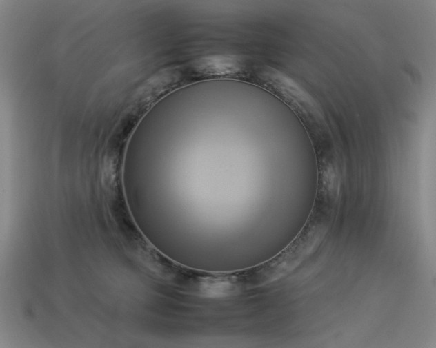 X0000113930373200909251224