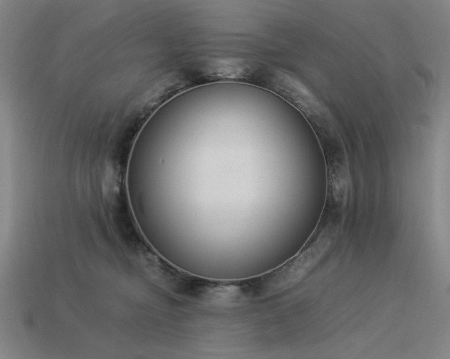 X0000113930374200909251224