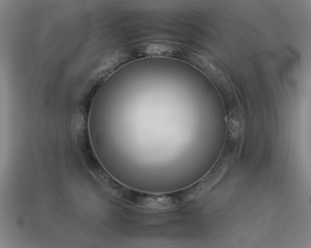X0000113930375200909251224