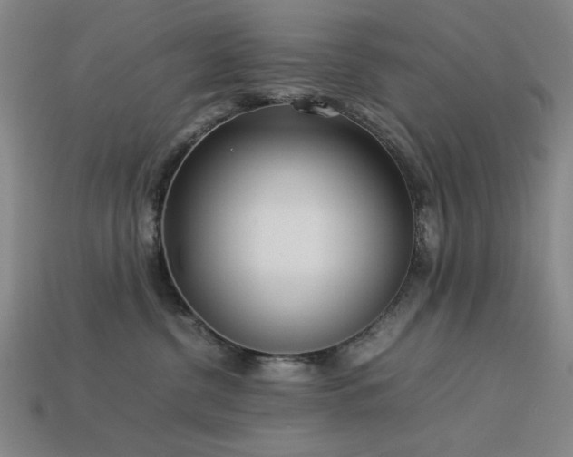X0000113930380200909251224