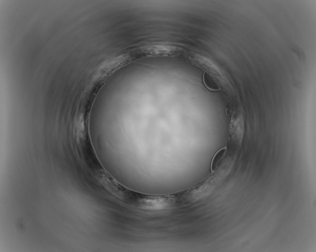 X0000113930381200909251224
