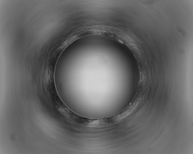 X0000113930382200909251224