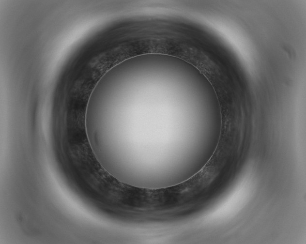 X0000113930383200909251224