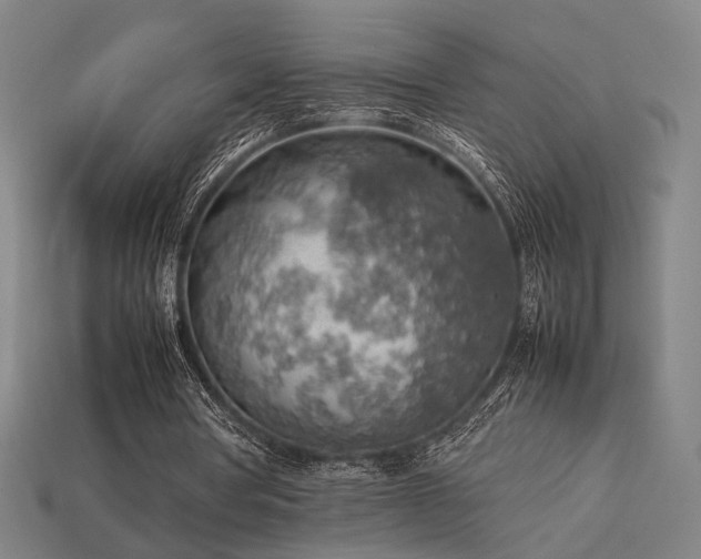 X0000113930386200909251223