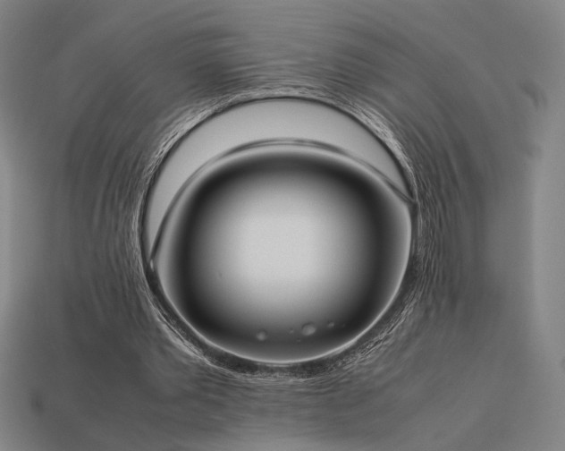 X0000113930389200909251223