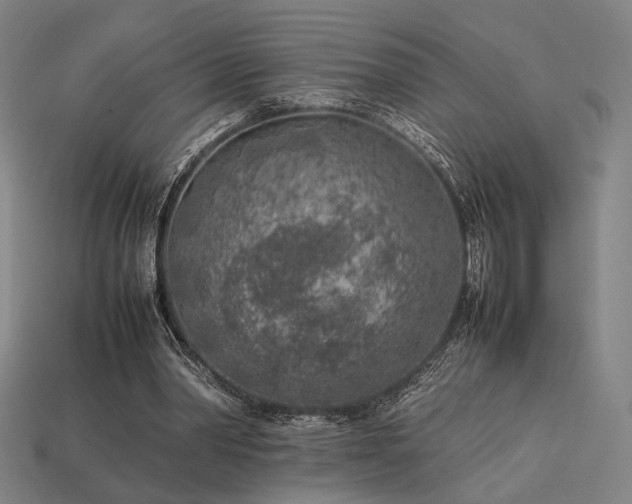 X0000113930390200909251223