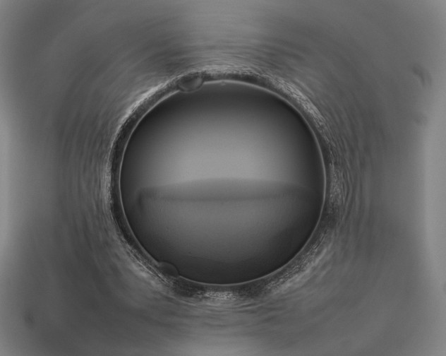 X0000113930391200909251223