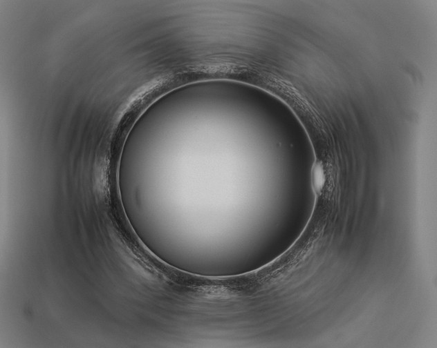 X0000113930392200909251223