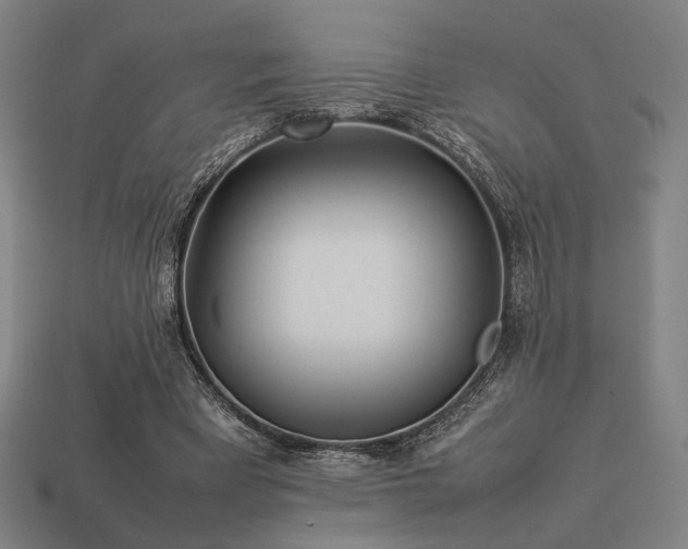X0000113930393200909251223