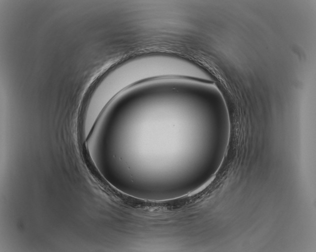 X0000113930395200909251223