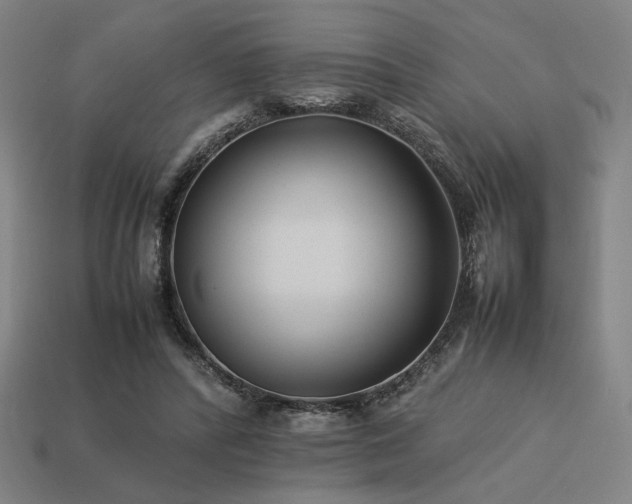 X0000113930400200909251223
