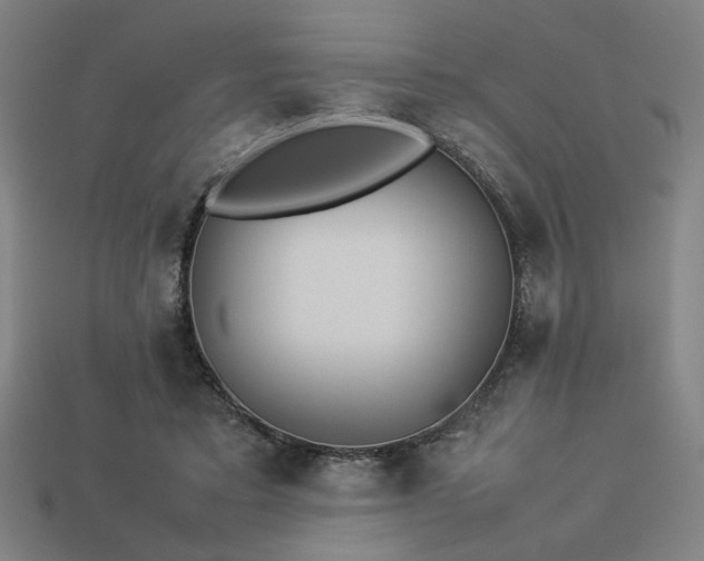 X0000113930403200909251223