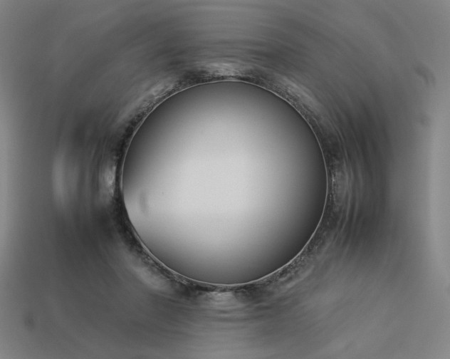 X0000113930406200909251223