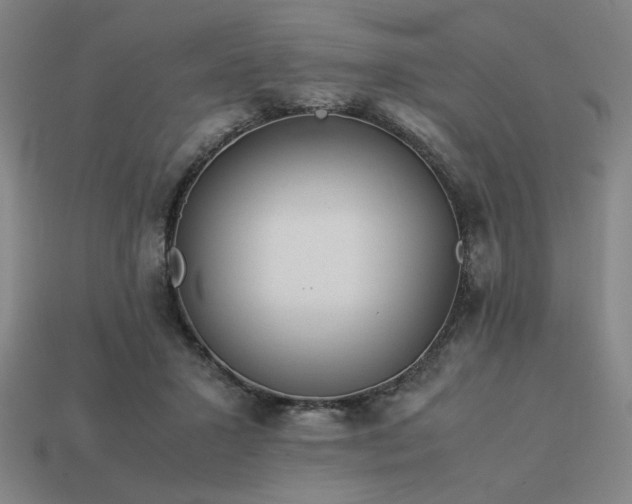 X0000113930407200909251223