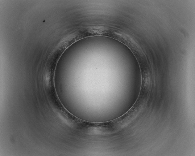 X0000113930408200909251223