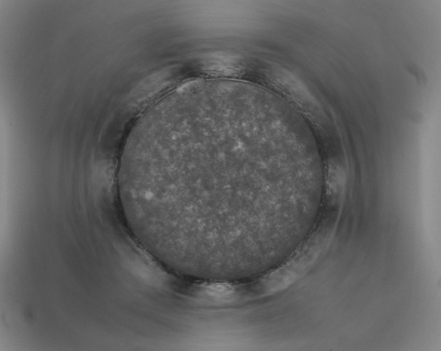 X0000113930409200909251223