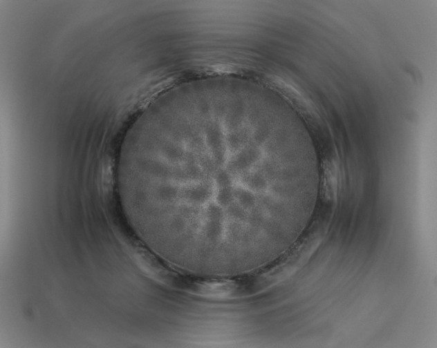 X0000113930410200909251223