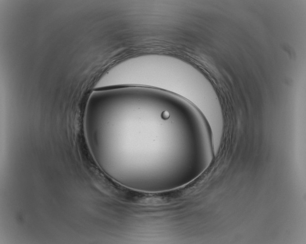 X0000113930413200909251223