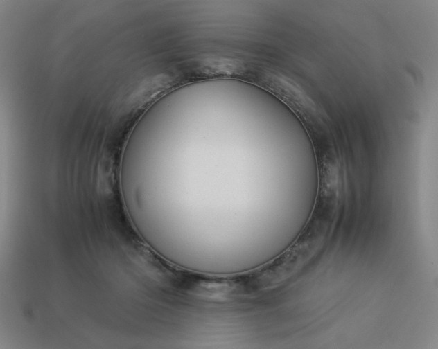 X0000113930414200909251223