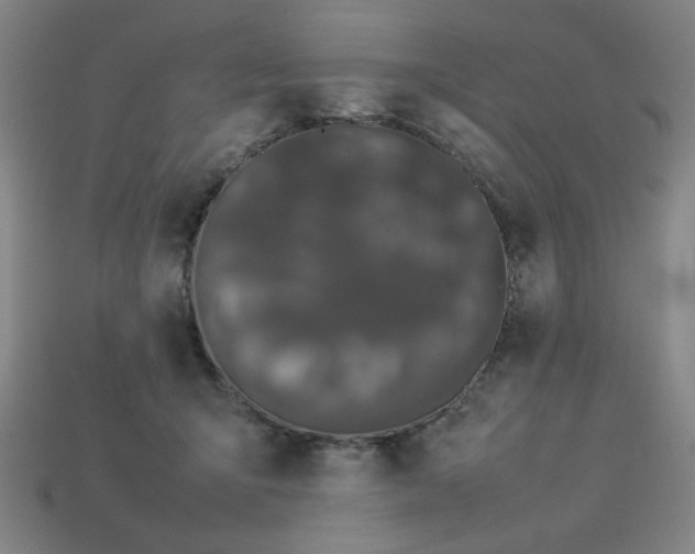 X0000113930415200909251223