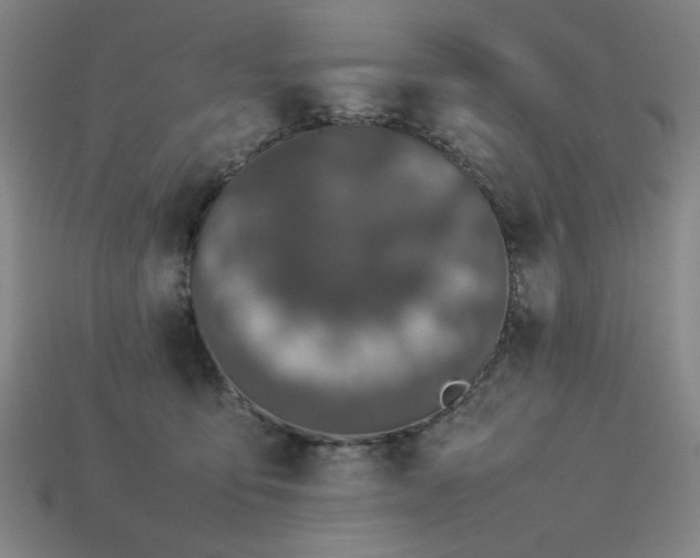X0000113930419200909251223