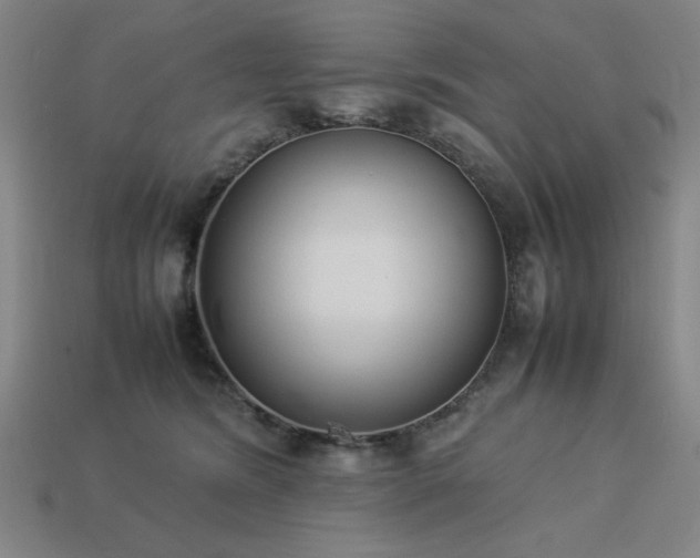 X0000113930420200909251223