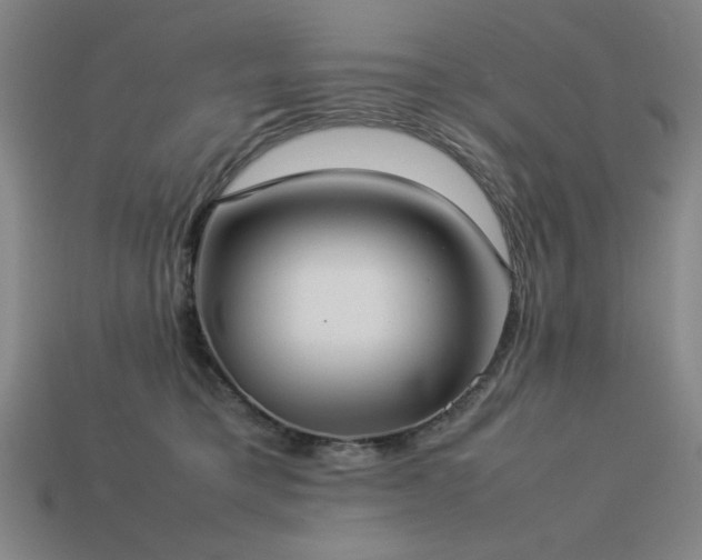 X0000113930421200909251223