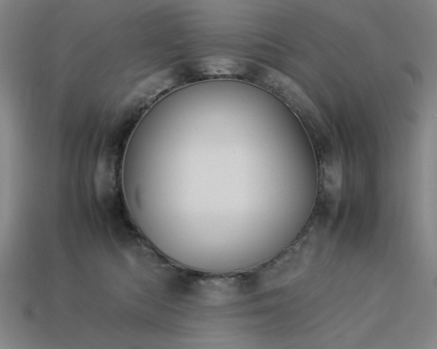 X0000113930422200909251223
