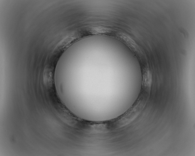 X0000113930426200909251223