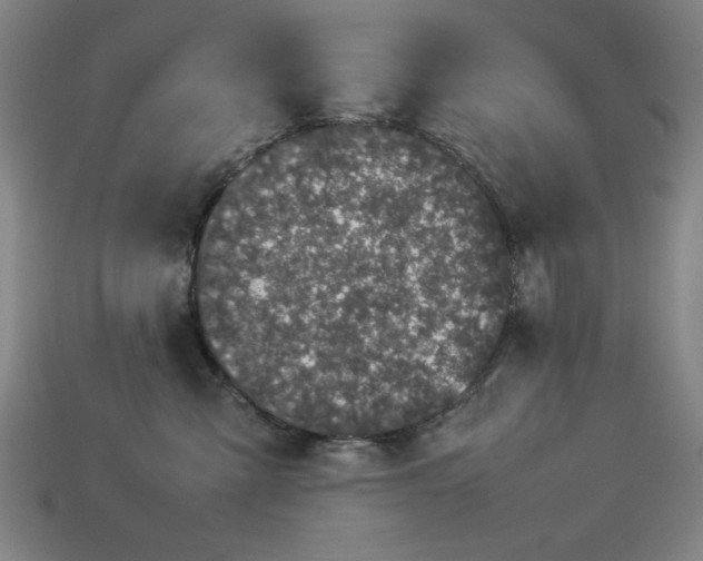 X0000113930427200909251223