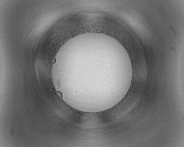 X0000113930431200909251223