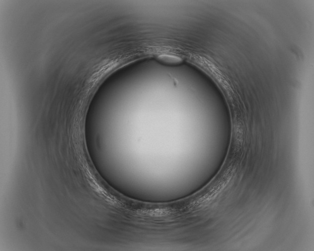 X0000113930433200909251222
