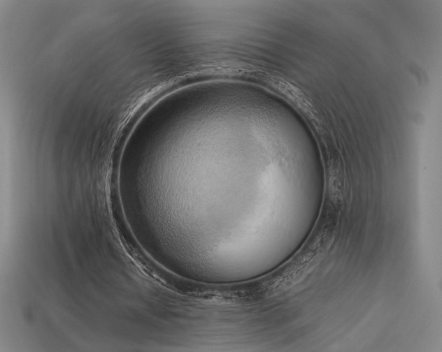 X0000113930434200909251222