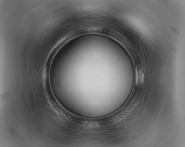 X0000113930435200909251222