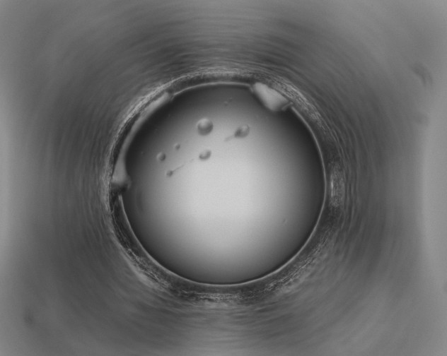 X0000113930436200909251222